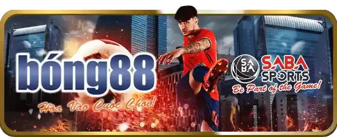 Trải nghiệm người dùng tối ưu Bia66